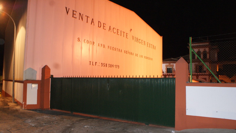 Dsc03049