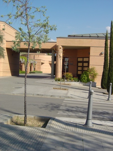 Cementerio_2